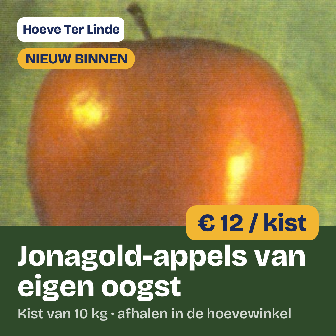 Square 1:1